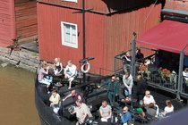 Tuttu heppu bongattu terassilta..